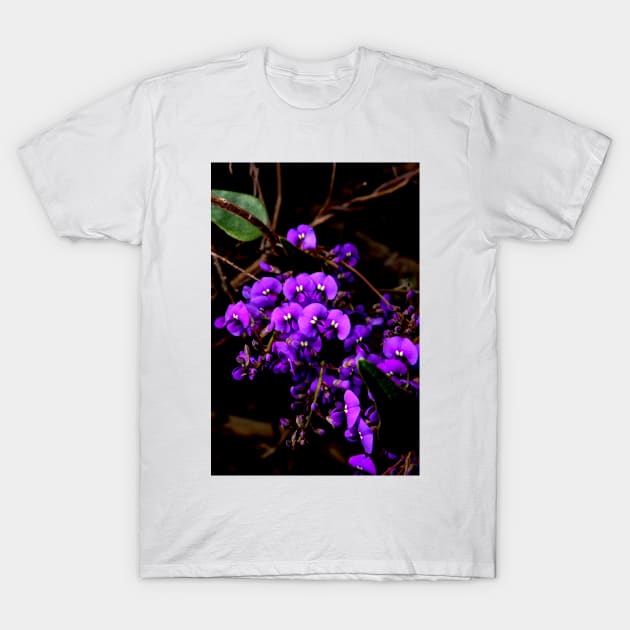 Hardenbergia Violacea - False Sarsaparilla T-Shirt by GP1746